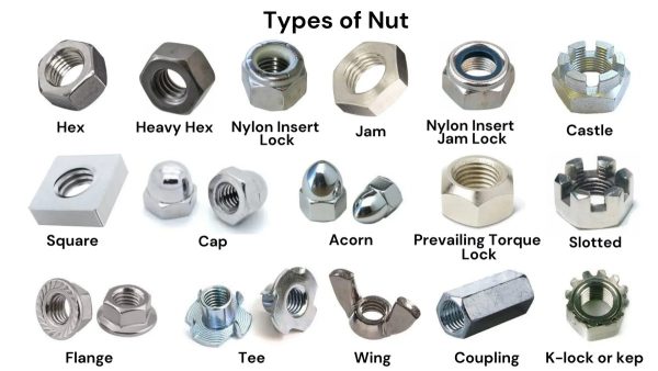 BOLT AND NUT